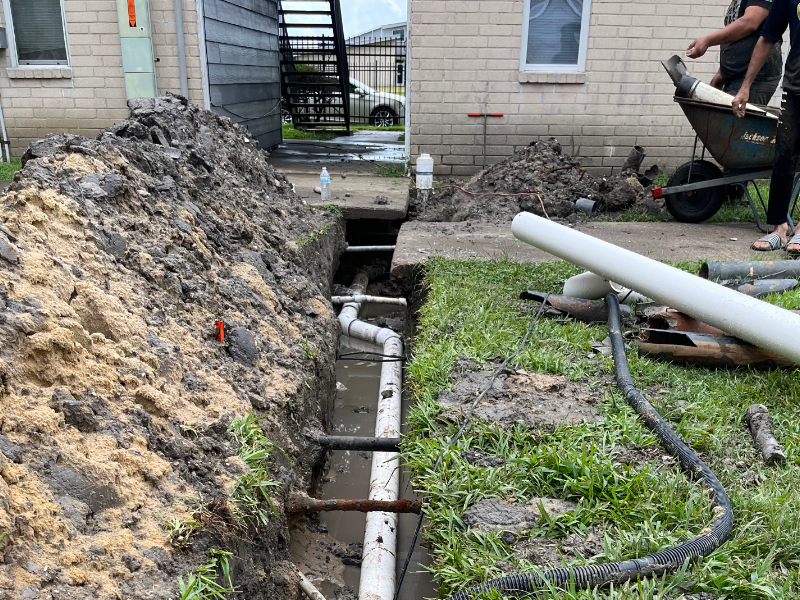 5 macro shot photography of tree during daytime