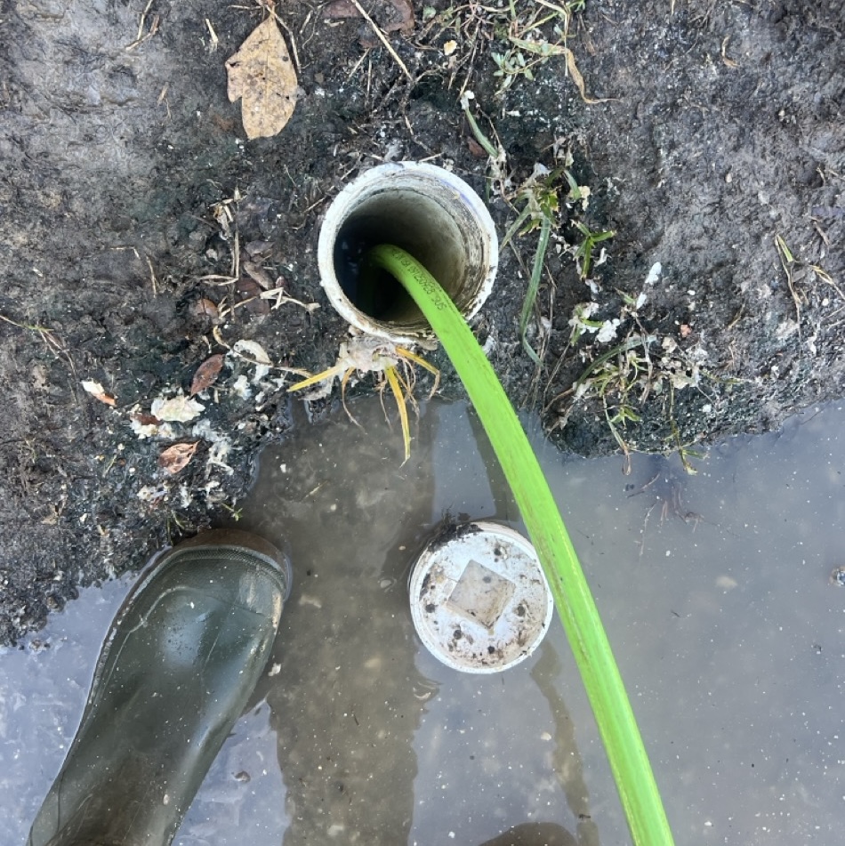 two small birds are sitting in the grass